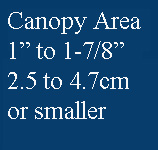 Small Canopy 1 to 3 inches